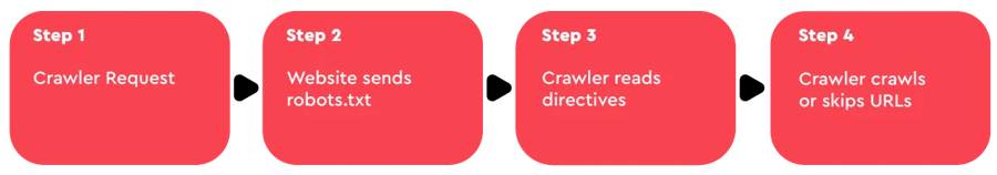 The robots.txt file process